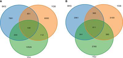 Composition and diversity of rhizosphere microorganisms of Suaeda salsa in the Yellow River Delta